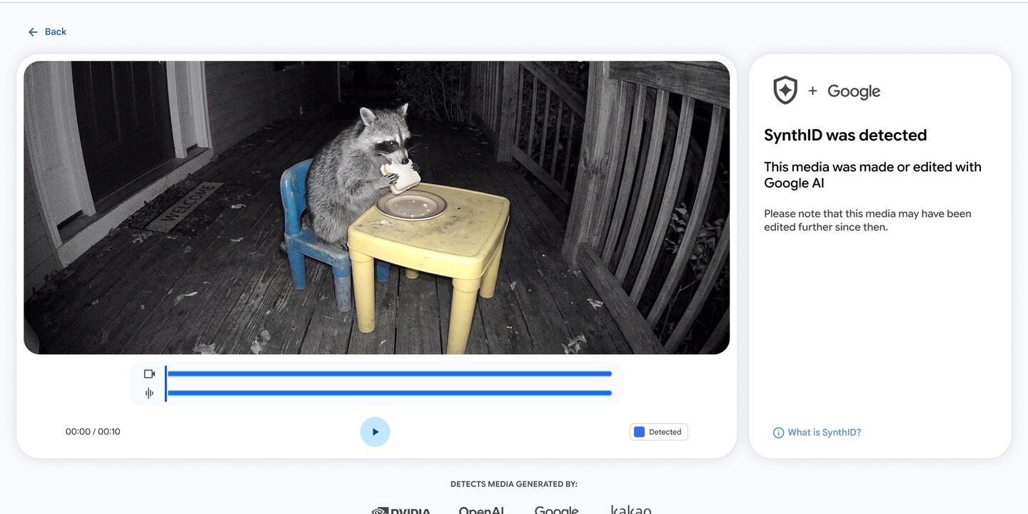 La web de SynthID Detector analiza un vídeo nocturno de un mapache y avisa de que ha detectado la marca de SynthID